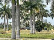 Residential Plot in Yelachanayakanapura for resale...
