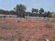 Residential Plot in Yellamanchili for resale...