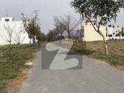Residential Plot No. 958 5 Marla Plot For Sale In DHA...