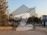 Residential Plot Of 1800 Square Feet For Sale In G 16/4