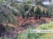 Residential Potential Development Land Bukit Kemandul,...