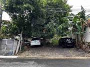 Residential Vacant Lots in Better Living Barangay Don...