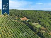 Residenza di lusso in vendita Massa Marittima, Toscana