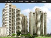 Resort type condo in Taguig, CYPRESS Towers, DMCI Homes