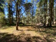 Respira Hondo. Acabas de Encontrar el Lugar Ideal....