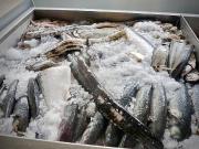 Restaurante para trespasse Matosinhos Sul 70m²...