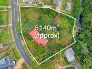 Restore the Past. Reimagine the Future