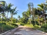 Retirement Home Farm Lots near Twinlakes at Brgy....