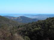 Retour Sur Le Marche.Exclusivite.La Garde Freinet. m² La...