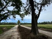 REVENTA OPORTUNIDAD LOTE ALMAHUE PILAR