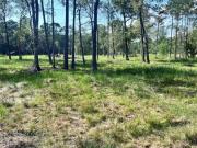 Rhonda Rosa Rd, Wallisville, Plot For Sale