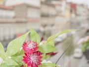 Ribeira Secret Apartment