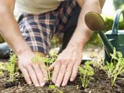 Rideau Towers 1 Bedroom Apartment for Rent at 35...