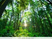 Rideau Towers 3 Bedroom Apartment for Rent at 43...