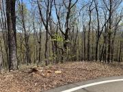 Ridgeview Dr, Big Canoe, Plot For Sale
