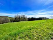 RIES: 590 m² sonniges Baugrundstück nahe Graz!