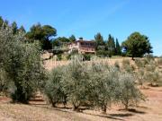 Rif. 1003 221Sc 344m² Chianni