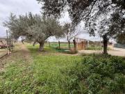 Rif: 2542 Terreno Agricolo 1.750 mq Bosco Rotondo, Comiso