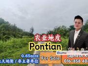 Rimba Terjun Pontian