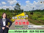 Rimba Terjun Pontian