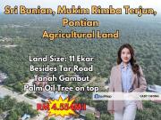 Rimba Terjun Pontian