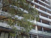 RINCON DEL BOSQUE, MIGUEL HIDALGO