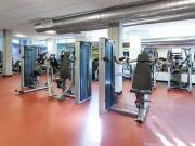 Rincon Green 1 Bedroom Apartment for Rent at 333...