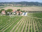 Rinomata azienda agricola su 102 ettari di terreno con...
