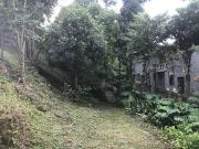 Rio Natureza Apart 109 abraço da mata Atlântica