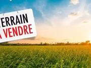 Rion des Landes 40370 Achat / Vente terrain