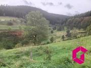 Riotord 43220 Achat / Vente terrain