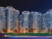Rise Organic Ghar,Lal Kuan 1 BHK Apartment For Sale...