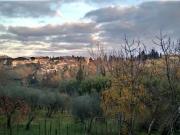 Ristorante in vendita a Firenze