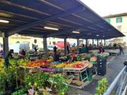 Ristorante in vendita a Firenze