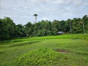 RIVERFRONT LOT FOR SALE – SALOG, GETAFE, BOHOL RIVERFRONT LOT FOR SALE – SALOG, GETAFE, BOHOL
