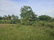Riverside lot for sale 41,000 sqm clean title San...
