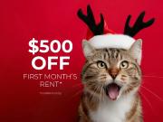 Riverstone Apartments