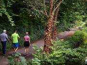 Robinrath, Navan, Meath Cairn Homes 4886 MyHome. Ie...