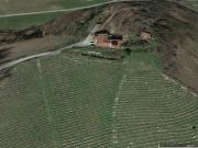 Rocca Grimalda, vendesi villa padronale con annessa...