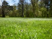 Rochecorbon 37210 Programme neuf terrain neuf à vendre