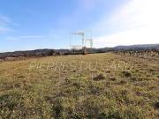 Rochefort du Gard 30650 Achat / Vente terrain
