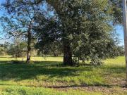 Rocking Horse Ct, Angleton, Plot For Sale