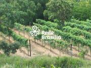 RODOVIA DF 250, CHÁCARA SÃO JOSÉ Chácara com 2...