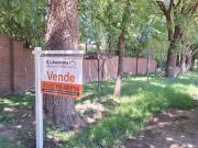 RODRIGUEZ 1731 FUNES