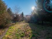 Rohdiamant mit 795m² Traumgrund