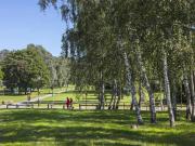 Roissy en Brie Vente Appartement 77