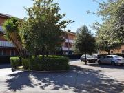 ROMA. Torre Angela, Bellissimo Villino a schiera