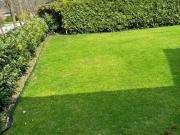 Römersee: Neu sanierter Bungalow auf Eigengrund!