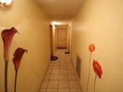 RONPEL DISPONIBLE LE 7 SEPTEMBRE 2026