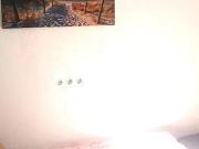 Room for rent in Cologne Nippes, Cologne region